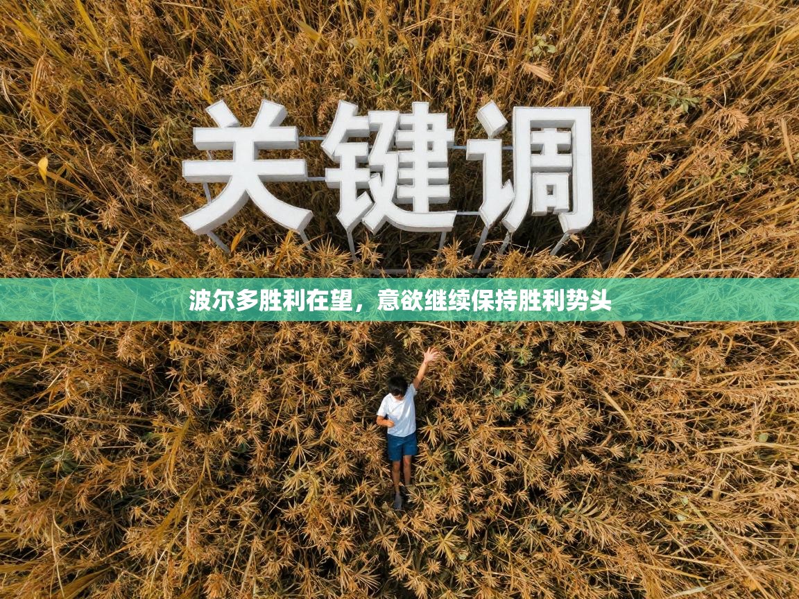 波尔多胜利在望,意欲继续保持胜利势头 第2张