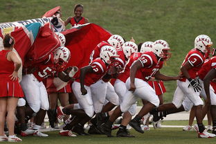 爱游戏app推荐-搏击台上竞技水平持续提高，搏击台上竞技水平持续提高怎么办  第2张